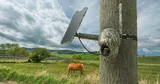 Trail camera Reolink Keen Ranger 4G/LTE wireless, with battery, rotatable 360° Pan & 140° Tilt, Starlight sensor + solar panel (3/8)