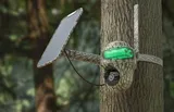 Trail camera Reolink Keen Ranger 4G/LTE wireless, with battery, rotatable 360° Pan & 140° Tilt, Starlight sensor + solar panel (5/8)