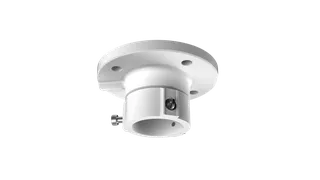 DS-1663ZJ Ceiling Mount