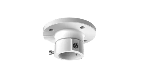 DS-1663ZJ Ceiling Mount