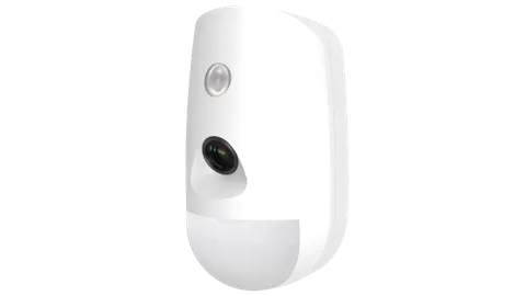 Motion sensor DS-PDPC12P-EG2-WE +PET 30kg + camera