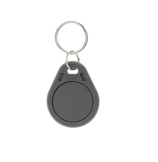 Keyfob S3033BNR-GY Mifare/Wiegand Grau