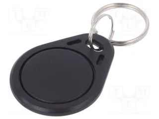 S103N-GY 125kHz Fob mit Nummer Oval Grau