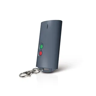 Remote control T-2 2-channel