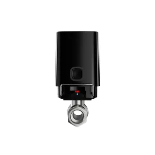 Water shut-off valve WaterStop [3/4] wireless black
