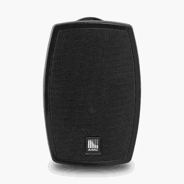 Speaker IPLAY4BT wall 100V black