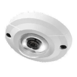 Vandal Lower Dome Surface