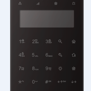 LCD sõrmistik DS-PK1-LT-WE must
