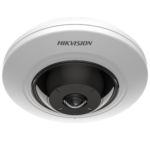 IP kaamera DS-2CD2955G0-ISU 5MP f1.05mm kalasilm valge