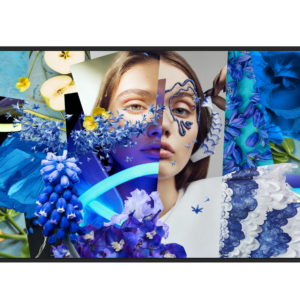 Infoekraan DS-D6043UN-DP 43" Slim