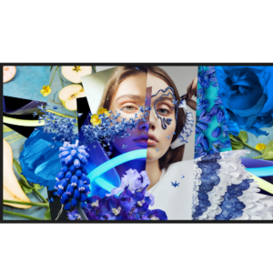 Infoekraan DS-D6050UN-DP interaktiivne 50"