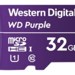 MicroSD mälukaart WDD032G1P0A 32GB Purple
