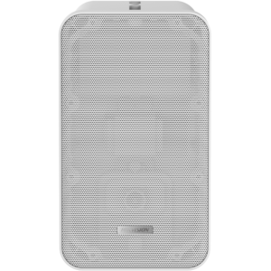 Kõlar DS-QAE0420G1-V seina passiivne