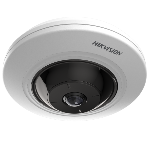 IP kaamera DS-2CD2955G0-ISU 5MP f1.05mm kalasilm valge