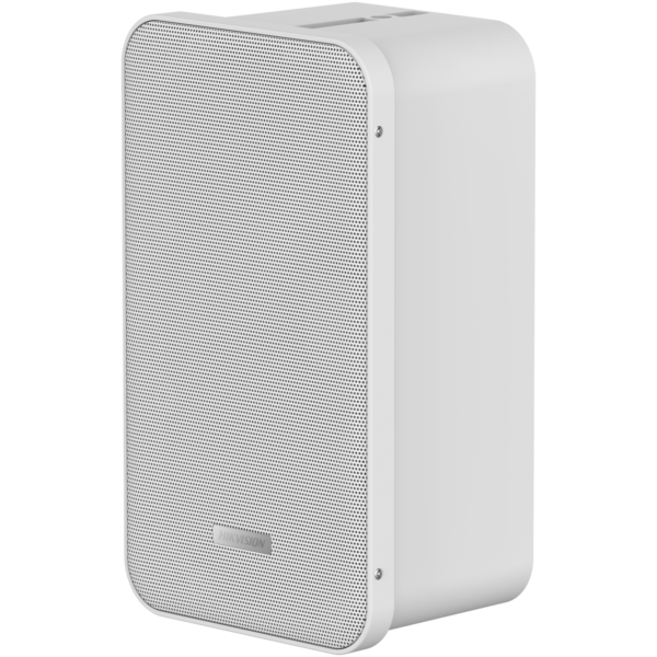 Speaker DS-QAE0420G1-V wall passiivne