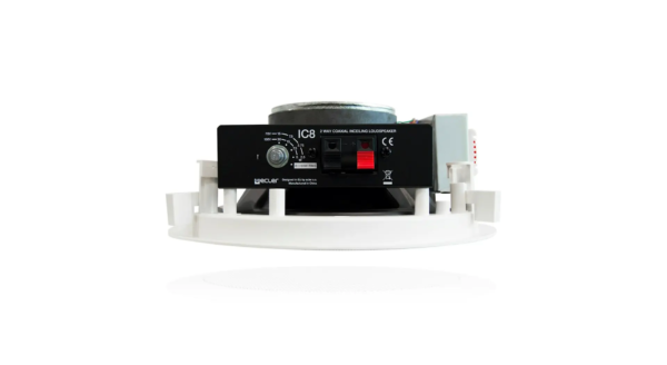 Speaker IC8 lae 100V